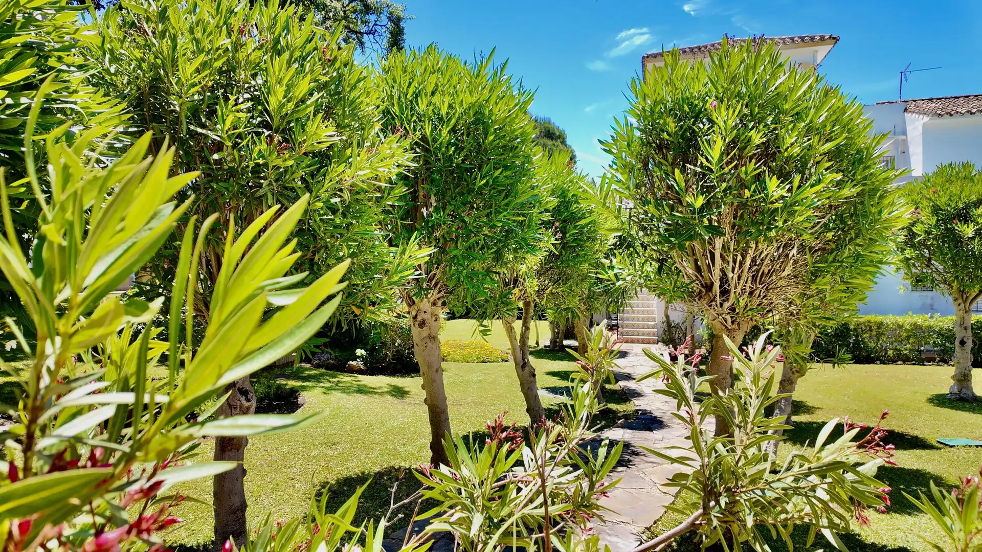 Jardín de Casa adosada en venta en Marbella con Jardín privado, Alarma y Piscina comunitaria