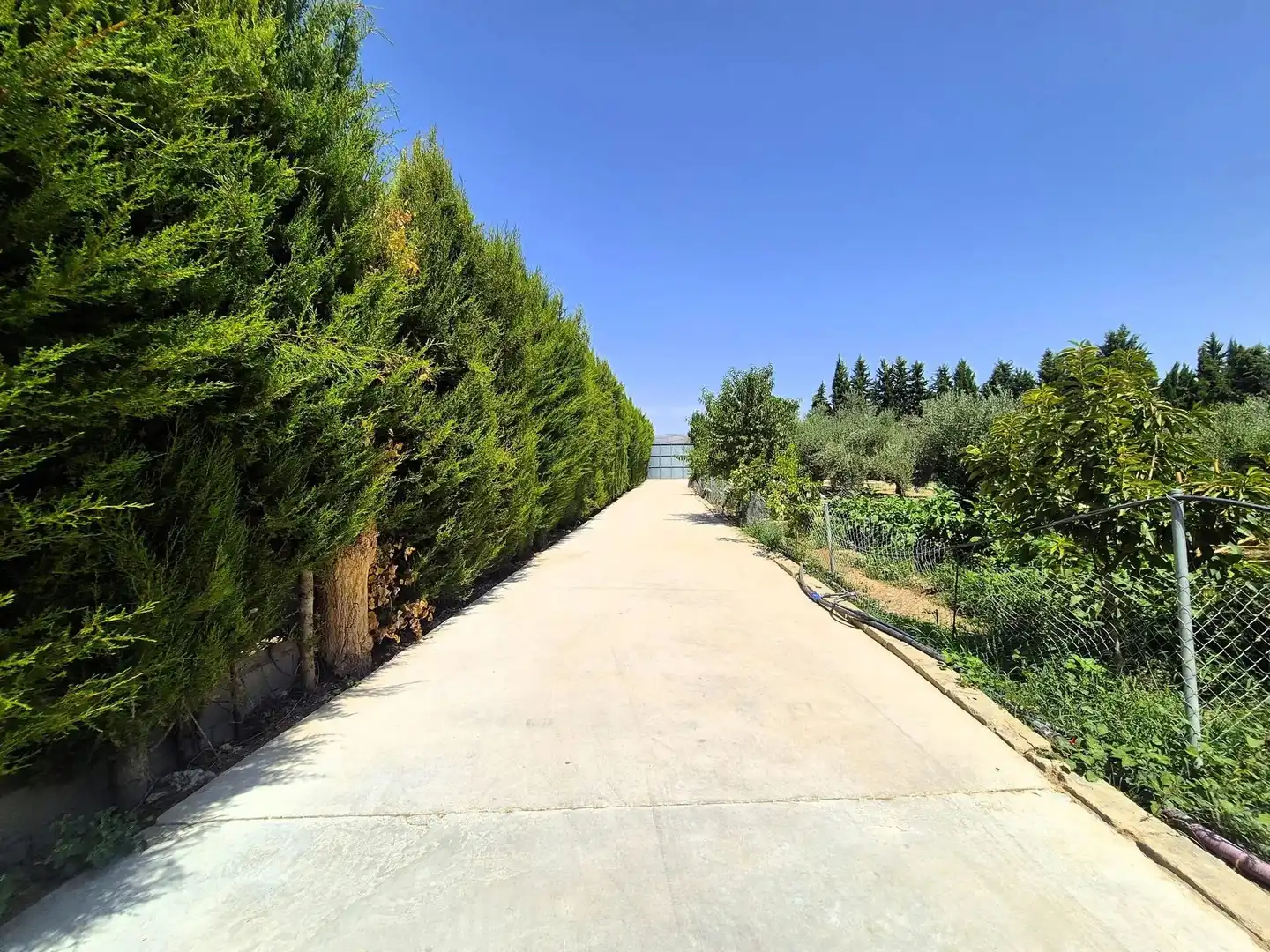 Rural land for sale in Huétor Tájar, imagen 19