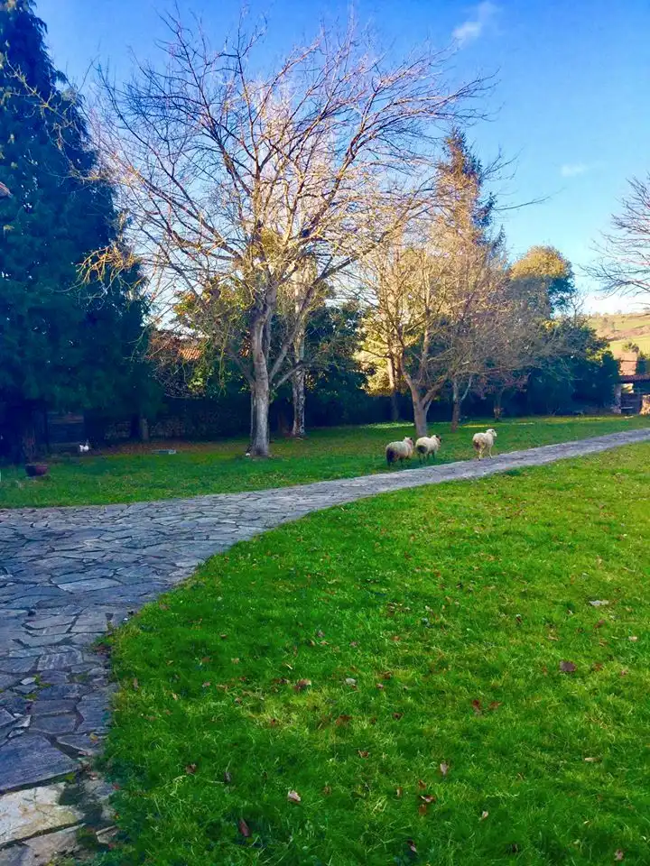 Vista exterior de Casa o xalet en venda en Reocín amb Calefacció, Parquet i Terrassa
