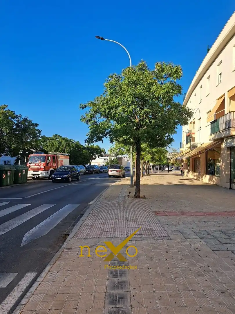 Business premises for sale in Carmona