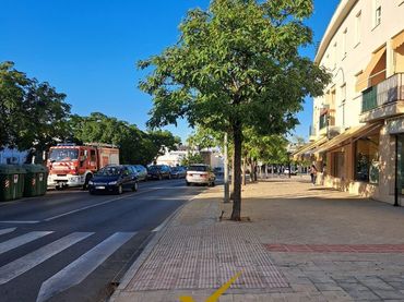 Locale commerciale in vendita a Carmona