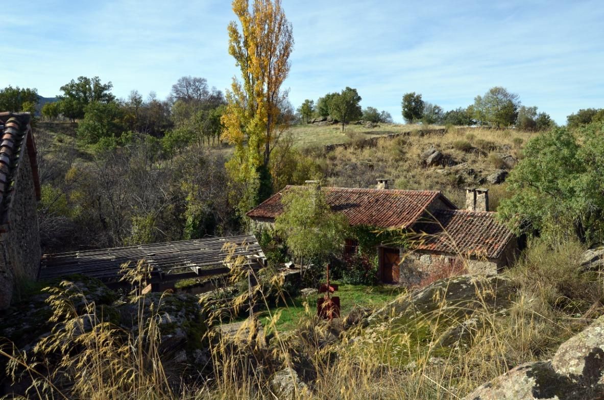 Jardí de Casa o xalet en venda en Navafría amb Terrassa