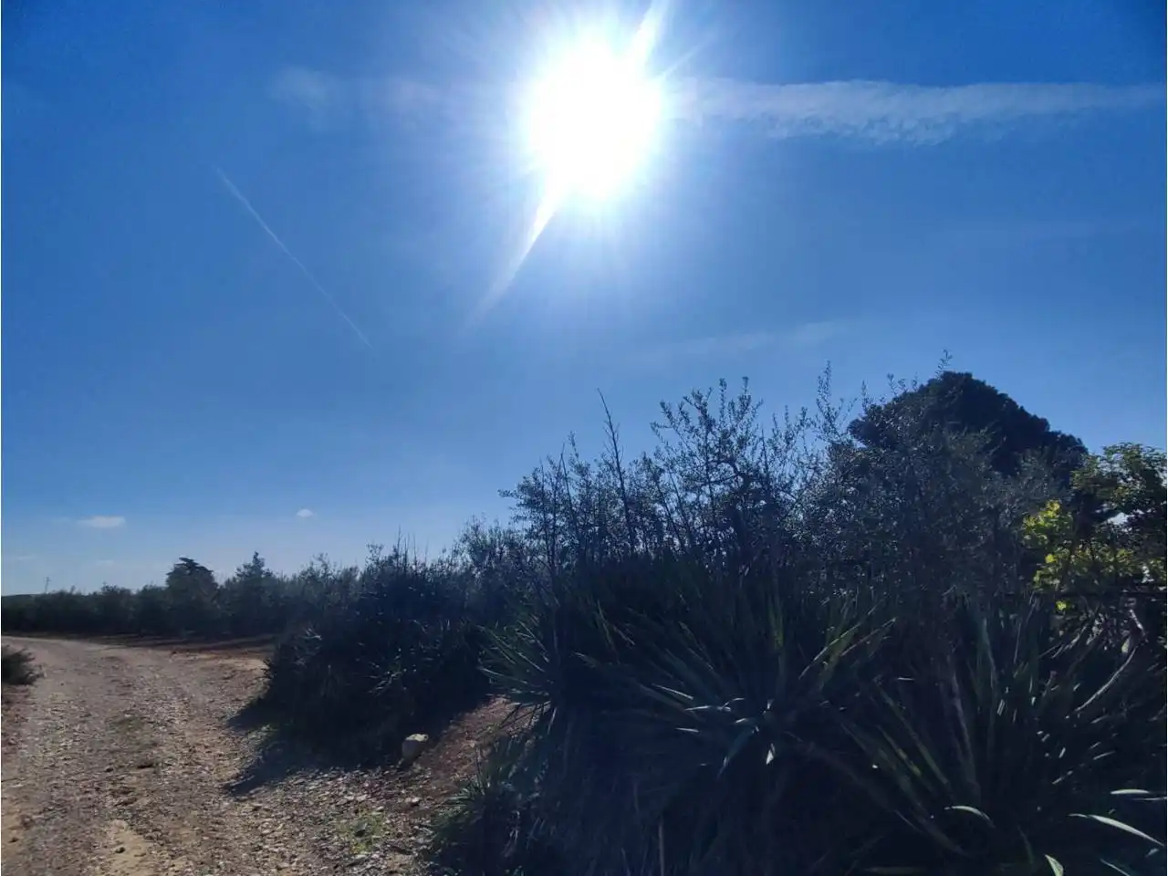 Terreno en venta en Zaidín