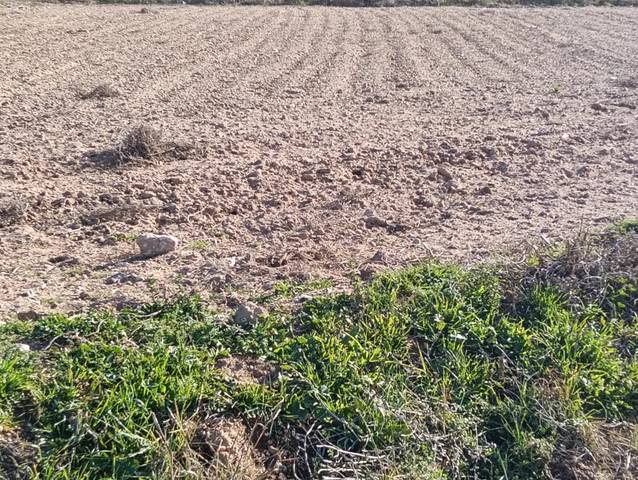 Terreno residencial en Venta en Villacañas