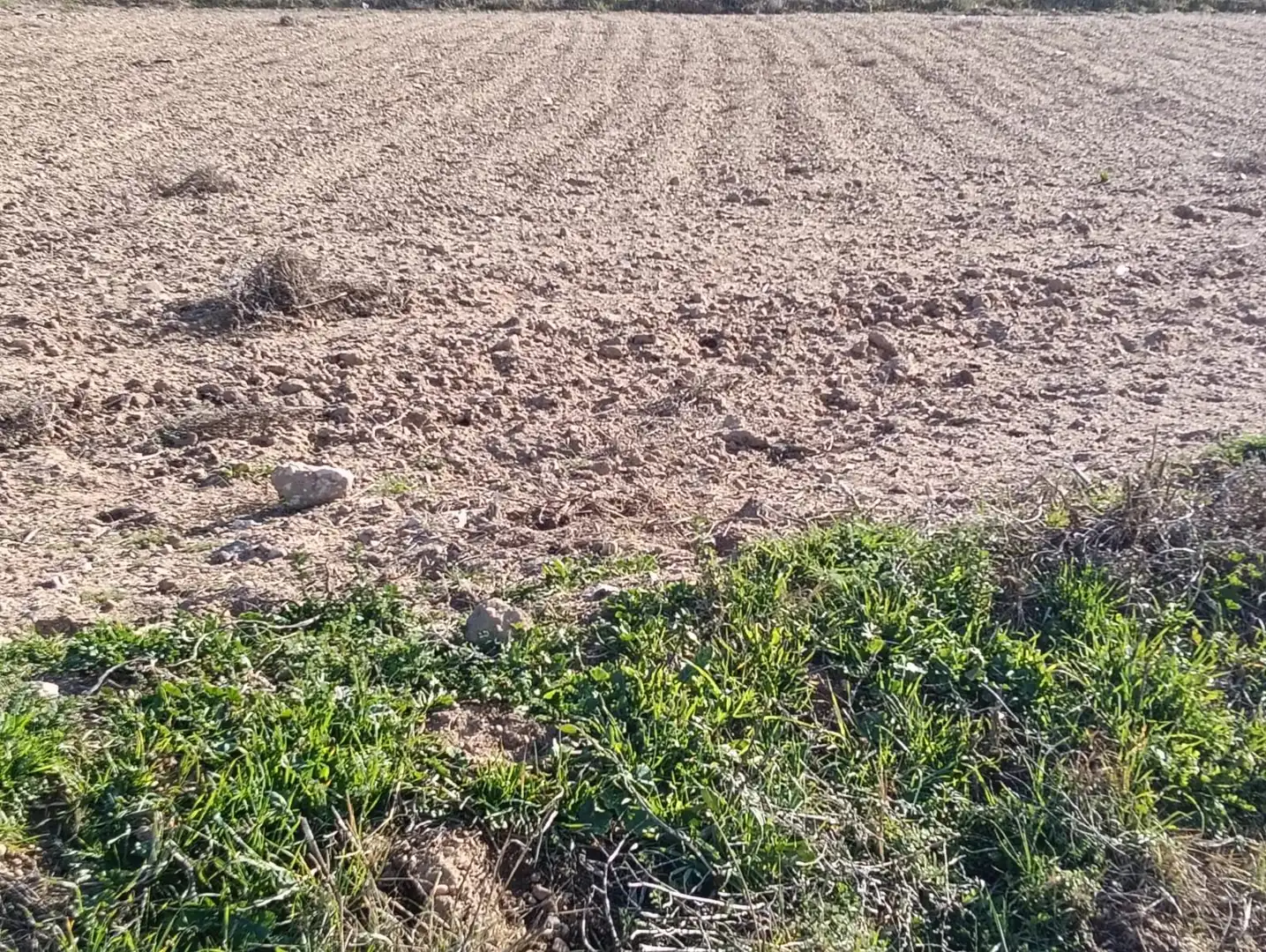 Terrenos y solares en venta en Villacañas