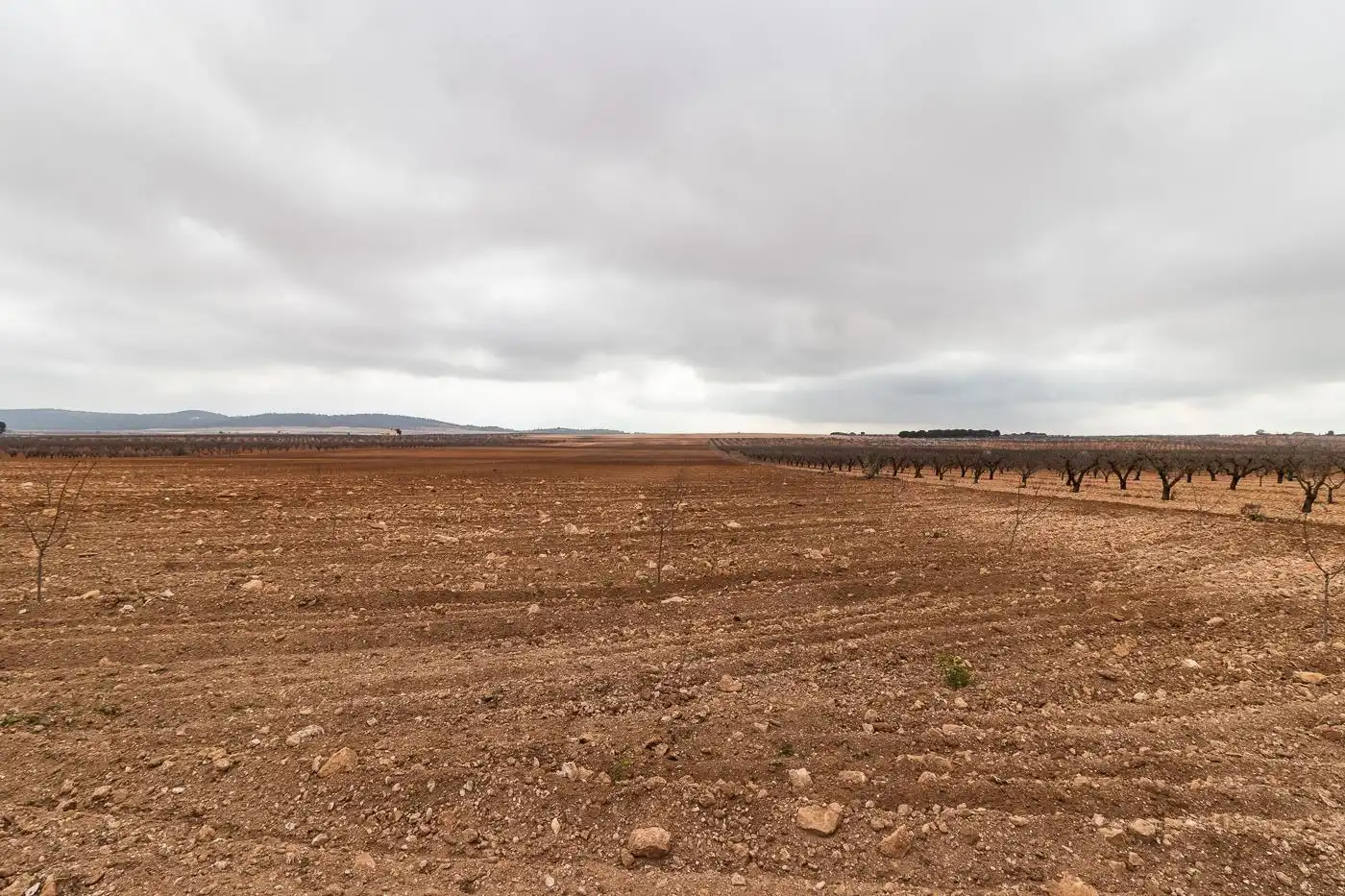 Xalet en venda a Mula, imagen 13