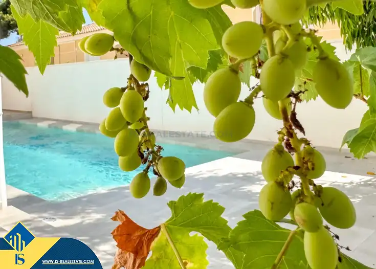Xalet amb piscina en venda a Los Balcones - Los Altos, imagen 7