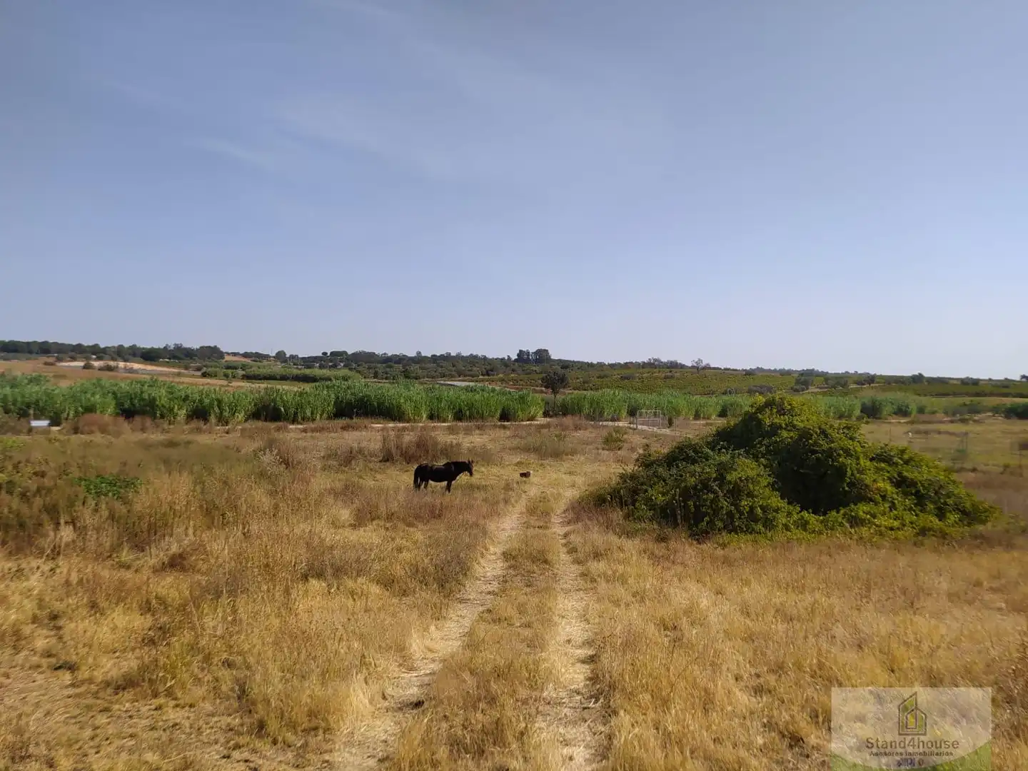 Finca rústica en venda a Villarrasa