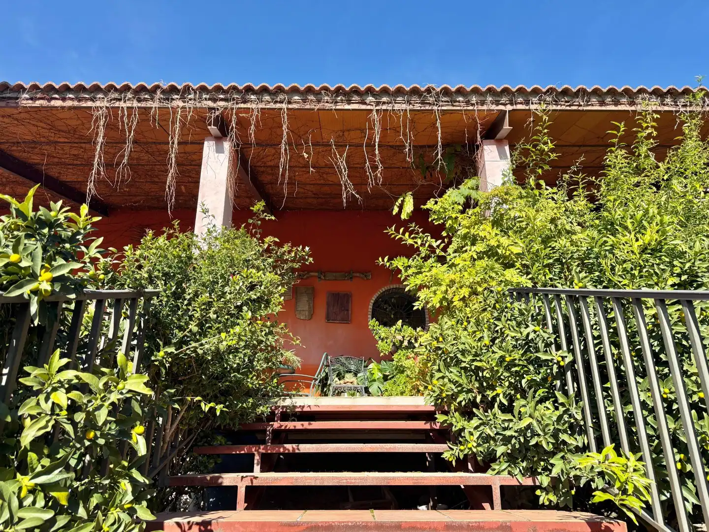 Vista exterior de Finca rústica en venta en Piedralaves con Jardín privado, Terraza y Trastero