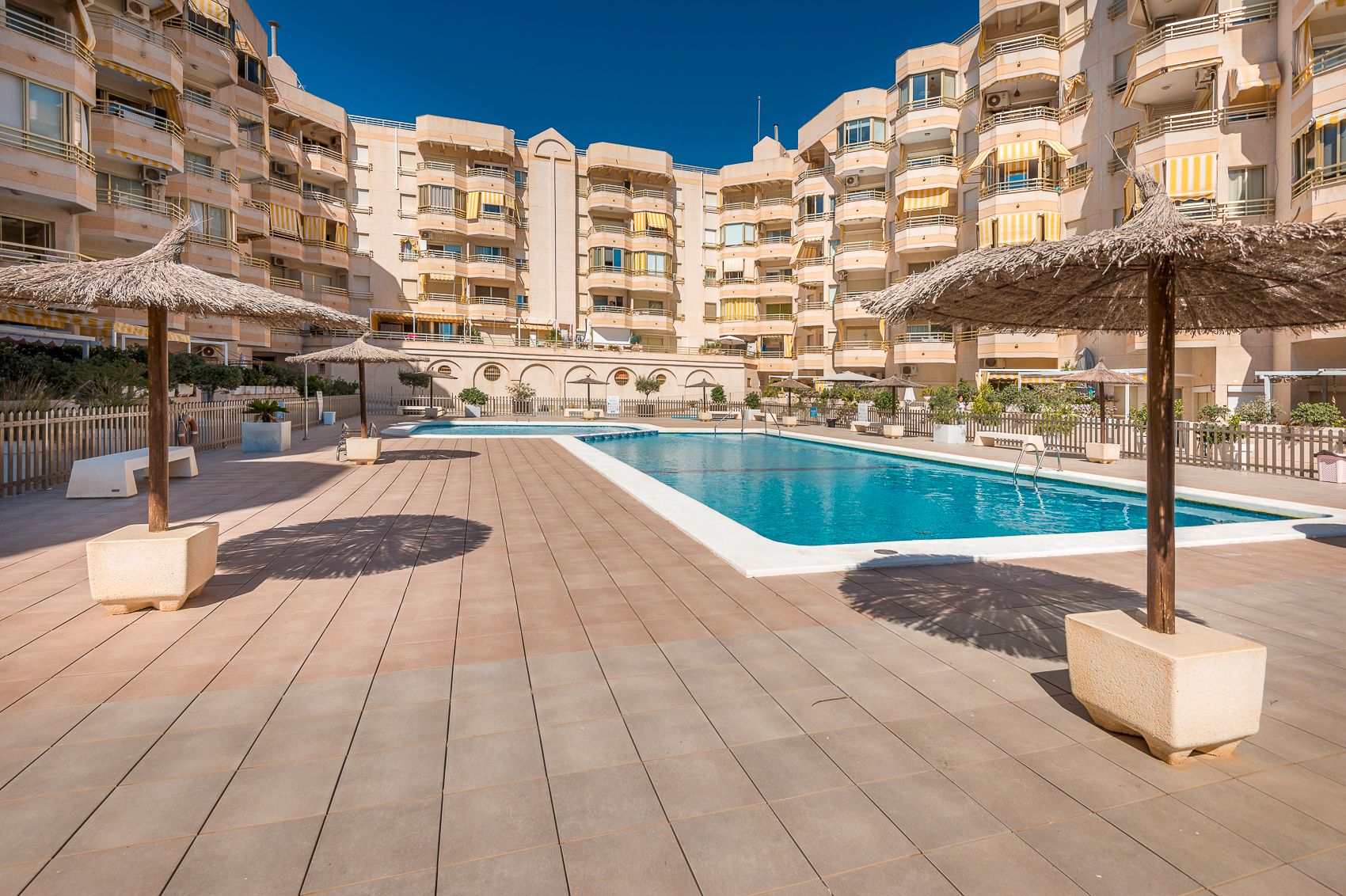 Swimming pool of Flat for sale in El Campello  with Terrace and Community pool