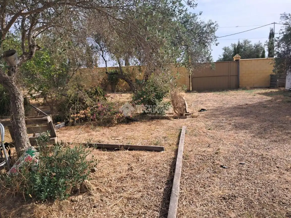 Finca rústica en venta en Carmona