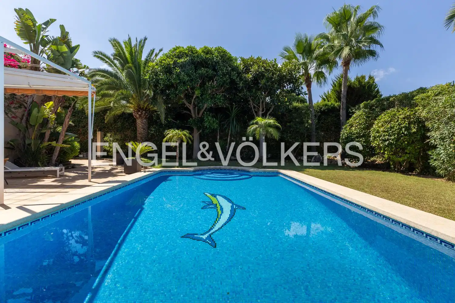 Piscina de Casa o xalet en venda en Cap Martí - El Tossalet - Pinomar