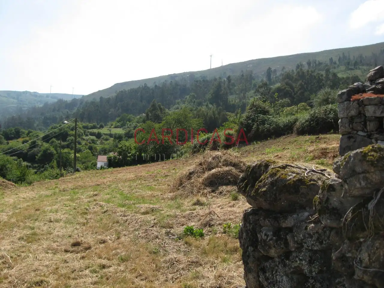 Finca rústica en venda a Luneda, Blancos., Arbo