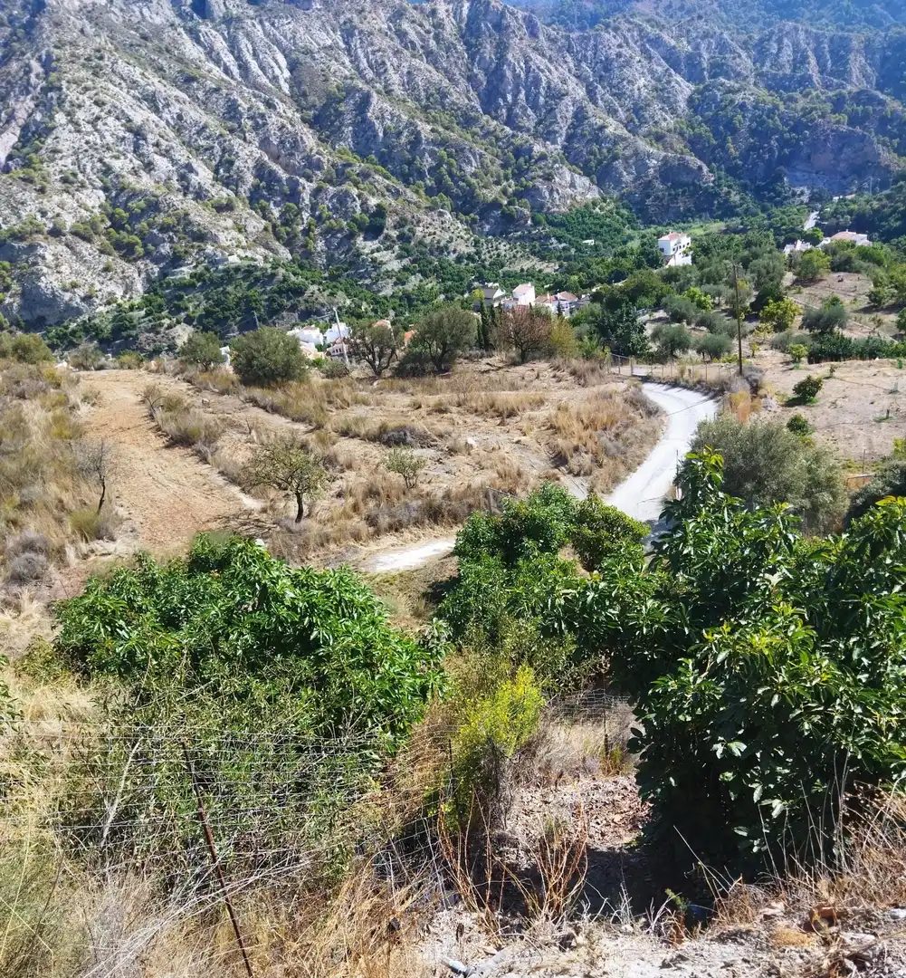 Vista exterior de Finca rústica en venta en Motril con Jardín privado