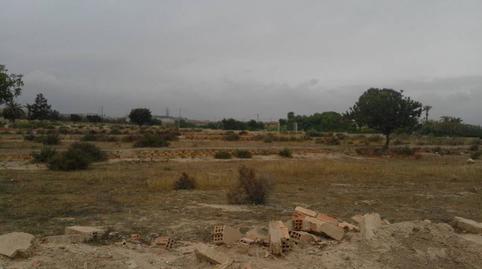 Foto 4 de Finca rústica en venda a Calle la Sardina, Santa Faz, Alicante