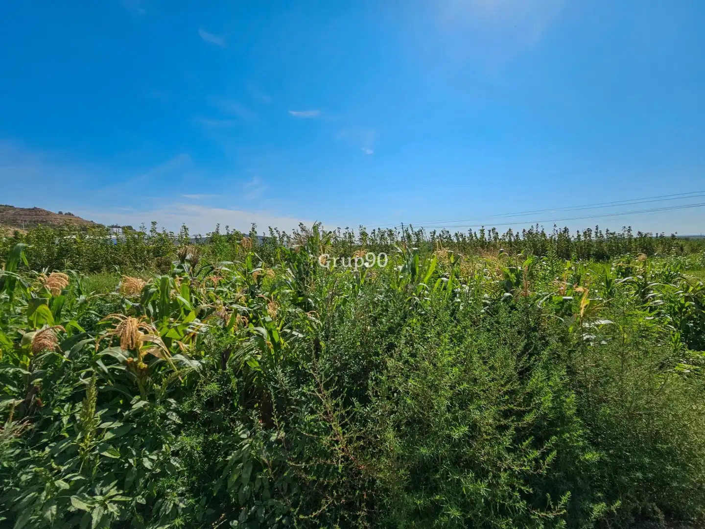 Nave industrial en venta en Oria