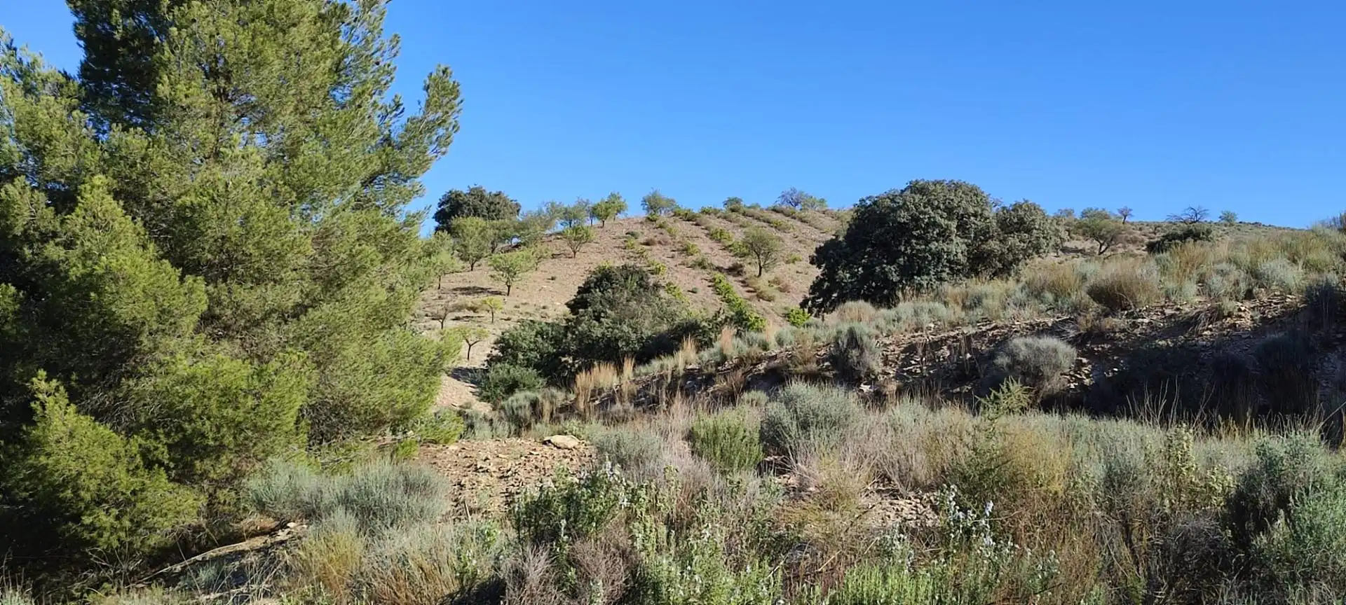 Finca rústica en venta en Lorca con Calefacción
