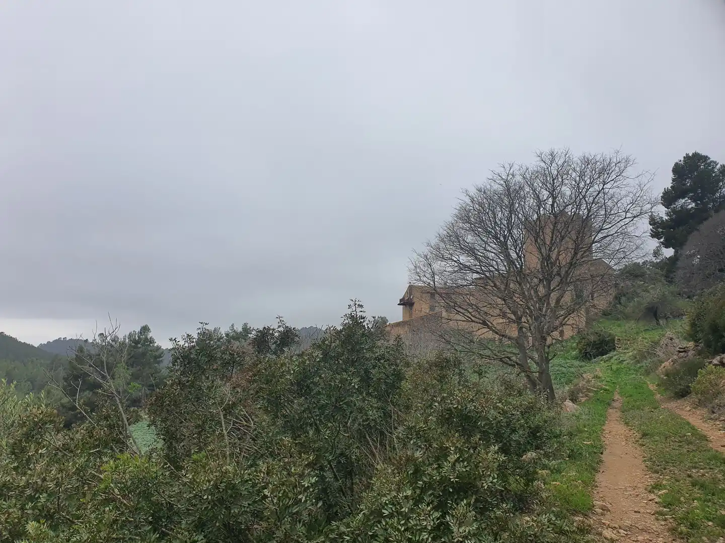House for sale in Tivissa, imagen 4