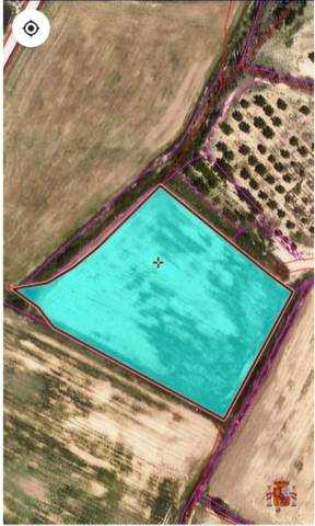 Terreno en Venta en Bell-lloc d'Urgell