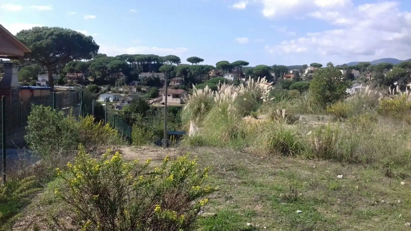 Terreni e lotti in vendita a Riells i Viabrea