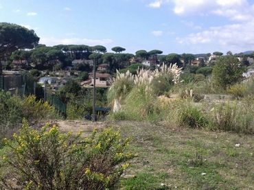 Lands and plots for sale in Riells i Viabrea