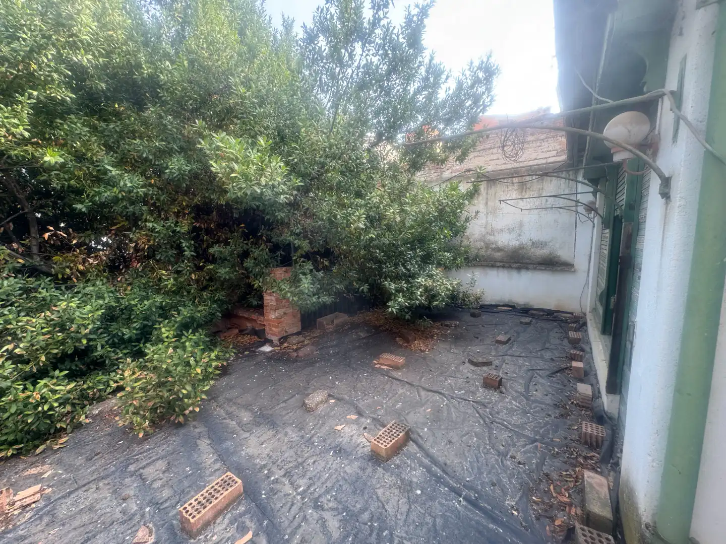 Garden of Houses for sale in Tàrrega