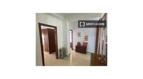 Photo 3 of Apartment to share in San Antón, Murcia