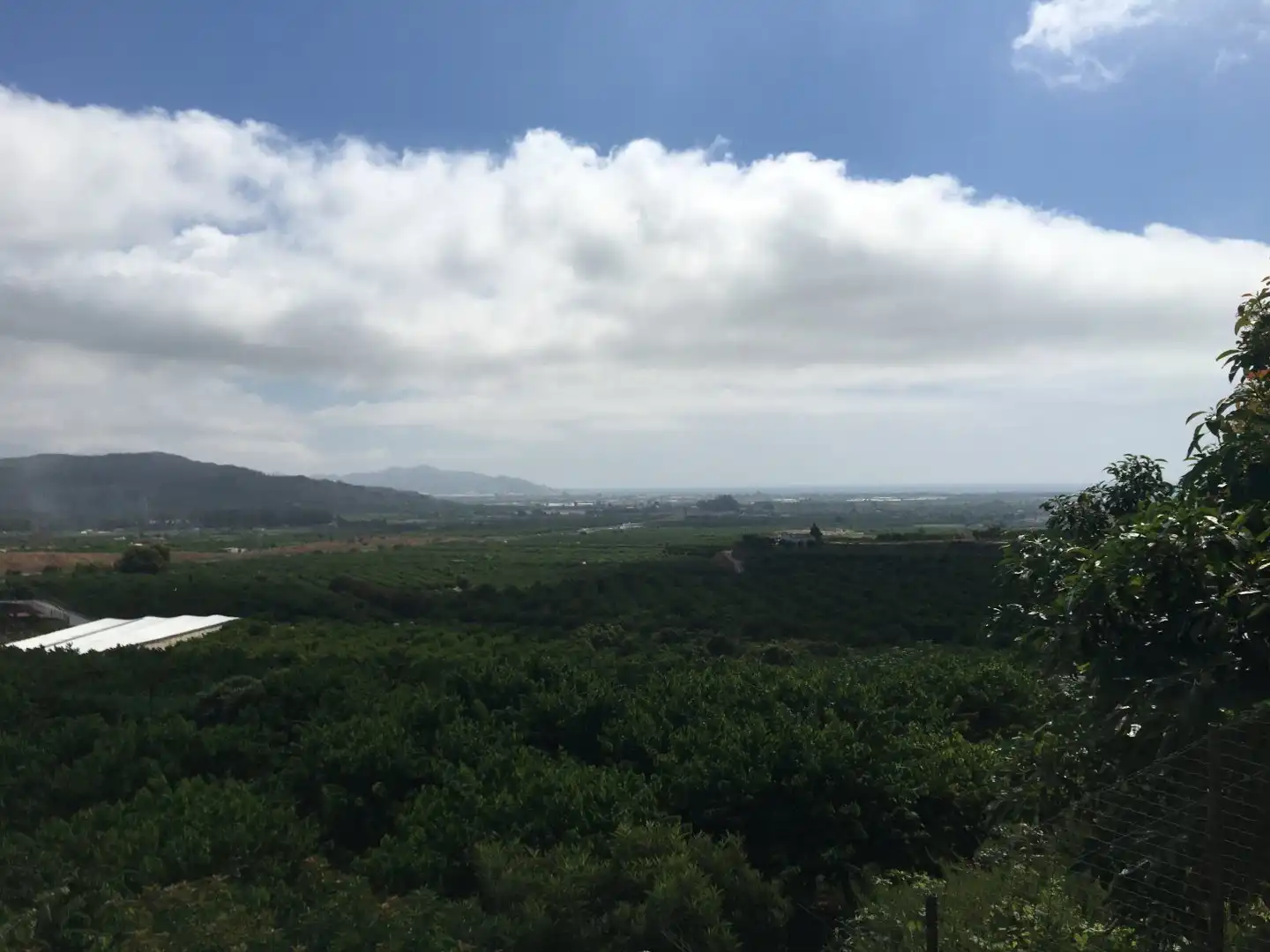 Casa rústica en venda a Monte los Almendros - El Pargo - Costa Aguilera, imagen 66