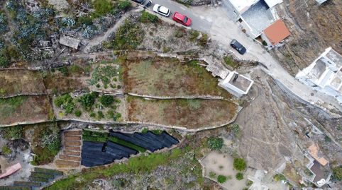 Foto 5 de Finca rústica en venta en El Gallego de Atrás, Santa María de Guía de Gran Canaria, Las Palmas
