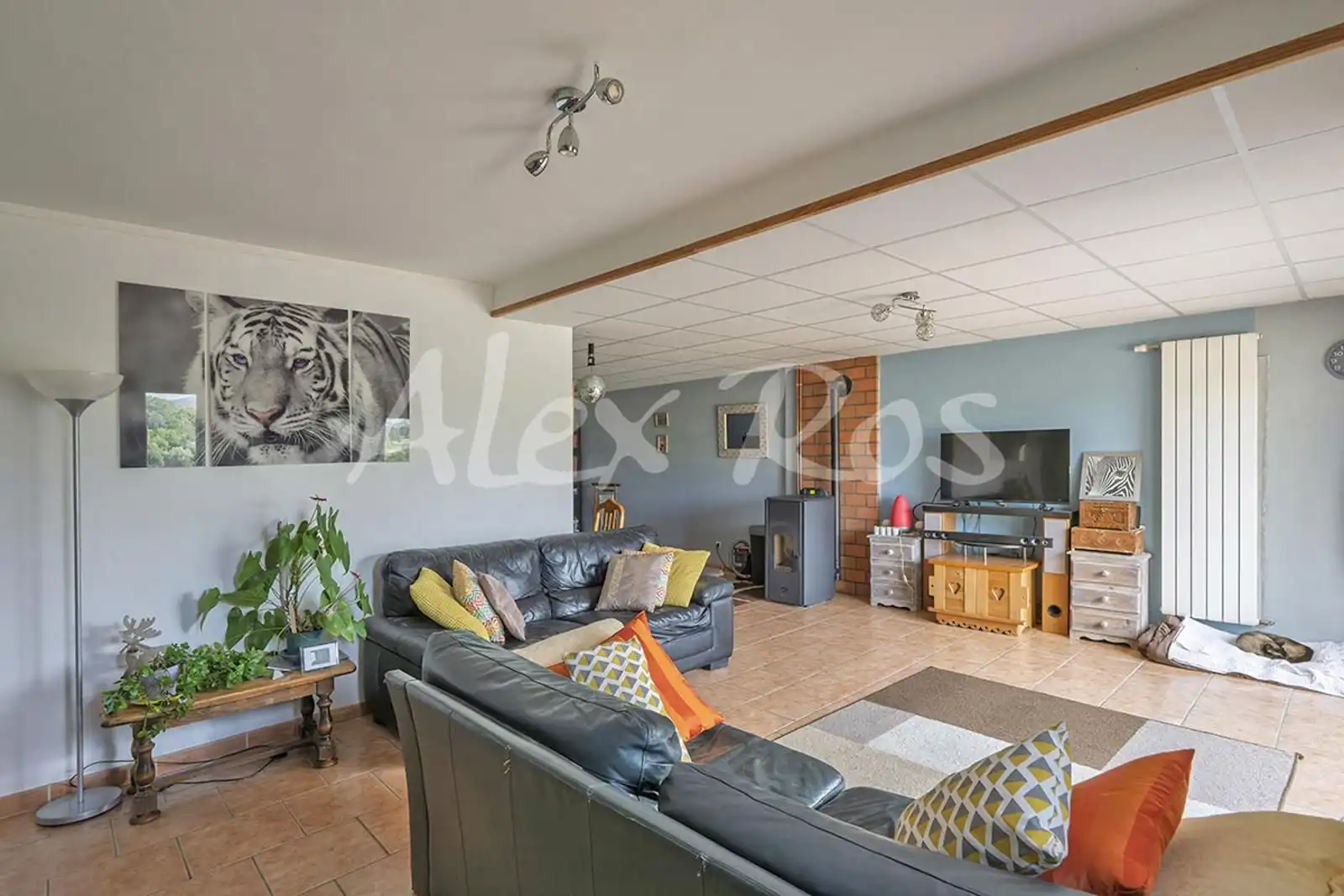 House with garden for sale in Estavar, imagen 33
