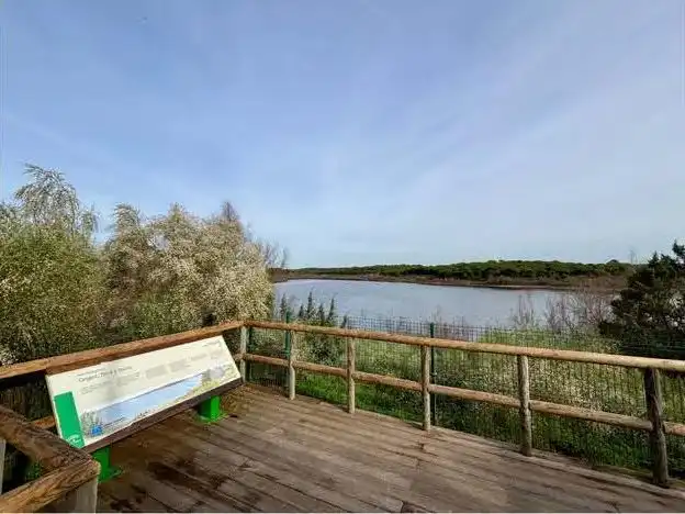 Apartment mit Pool zum Verkauf in Calle Playas del Sur 5, imagen 39