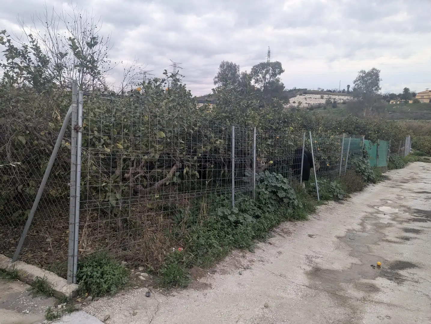 Terreno en venta en Cártama