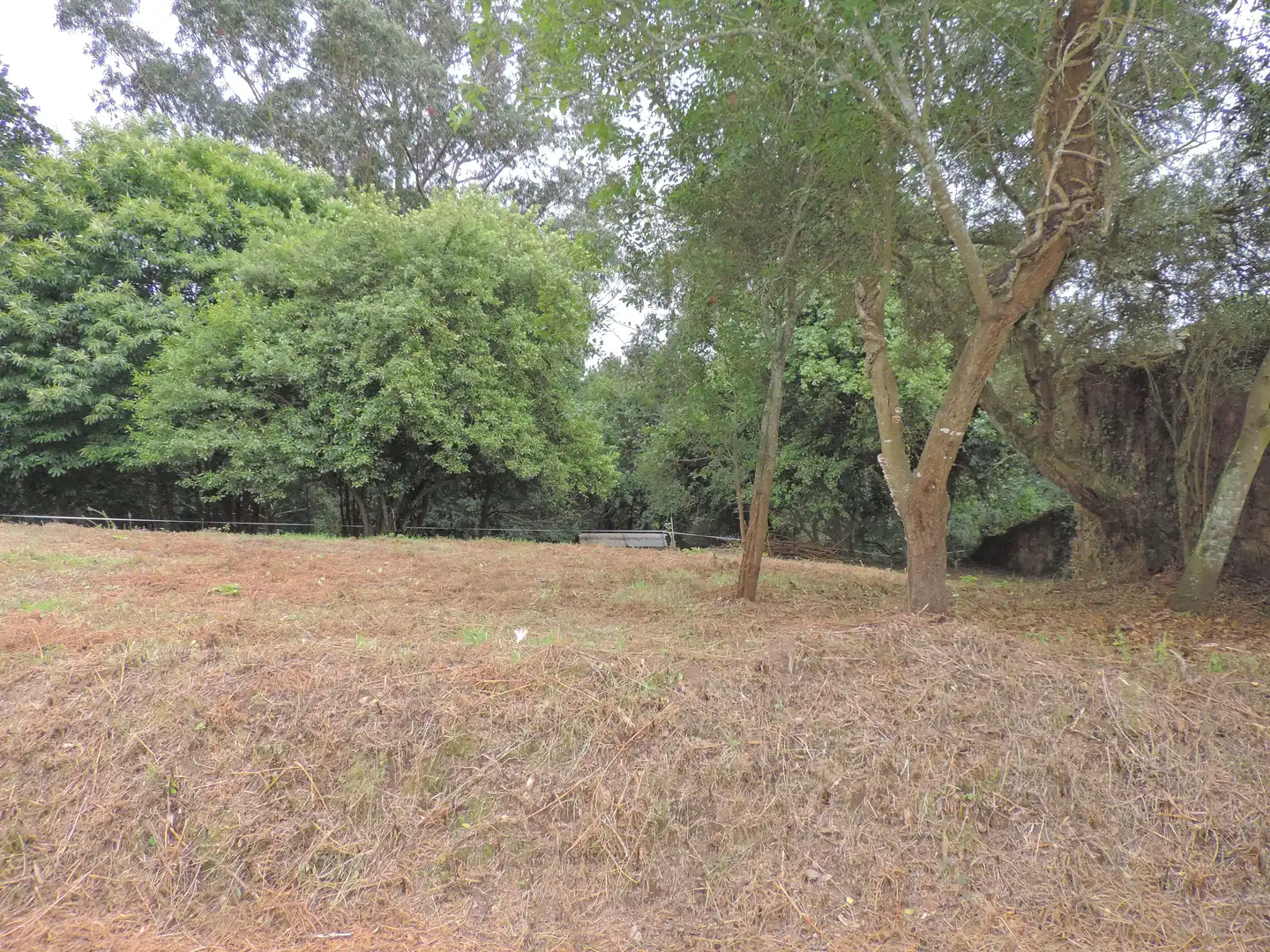 Casa o chalet en venta en A Laracha   con Jardín privado