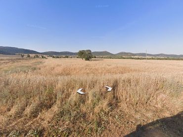 Terreny residencial en venda a Piedrabuena