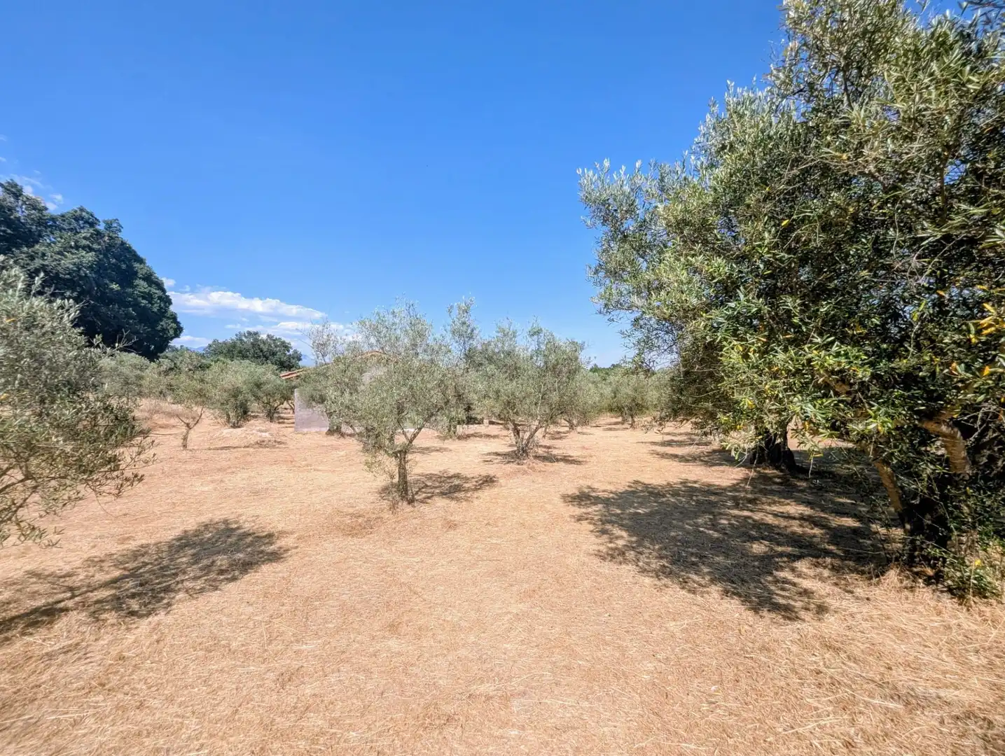 Maison à vendre à Villanueva de la Vera, imagen 32