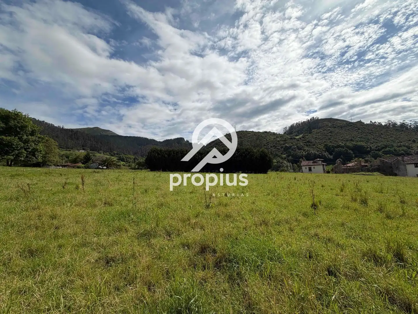 Rural land for sale in Bode, imagen 16