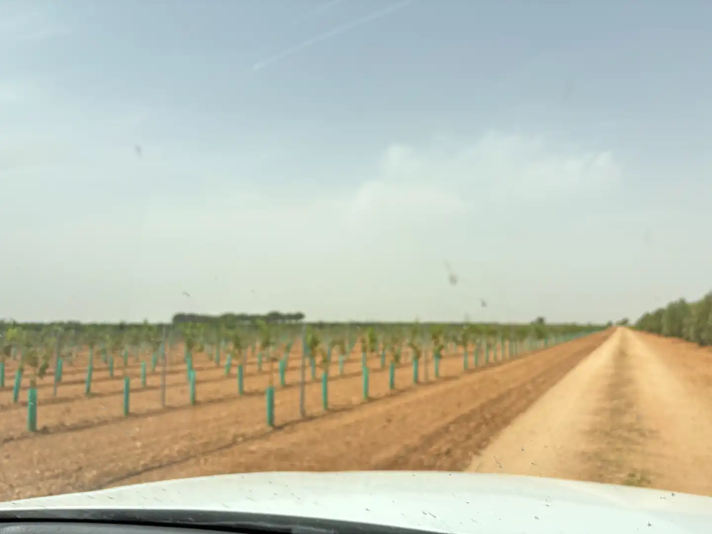 Terreno rustico in vendita a N/A, imagen 37