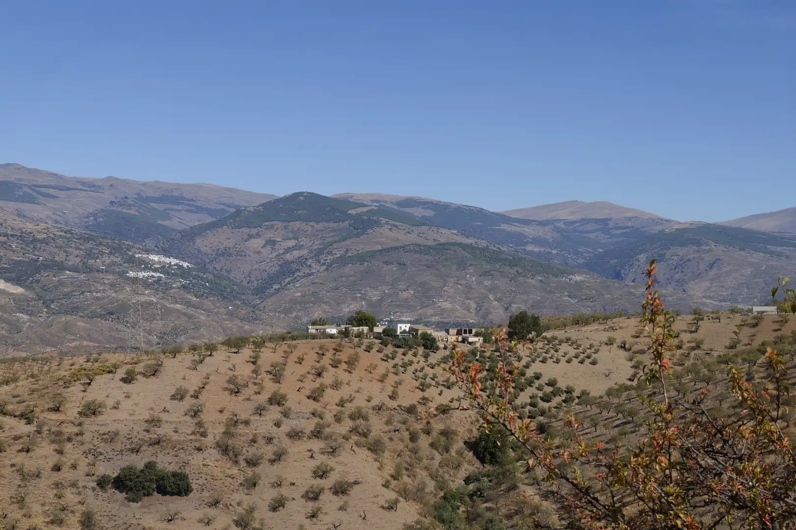 Vista exterior de Finca rústica en venta en Cádiar