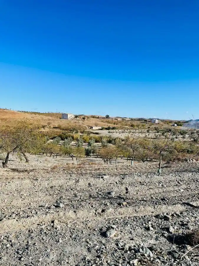 Terreny rústic en venda a Puerto Lumbreras, imagen 5
