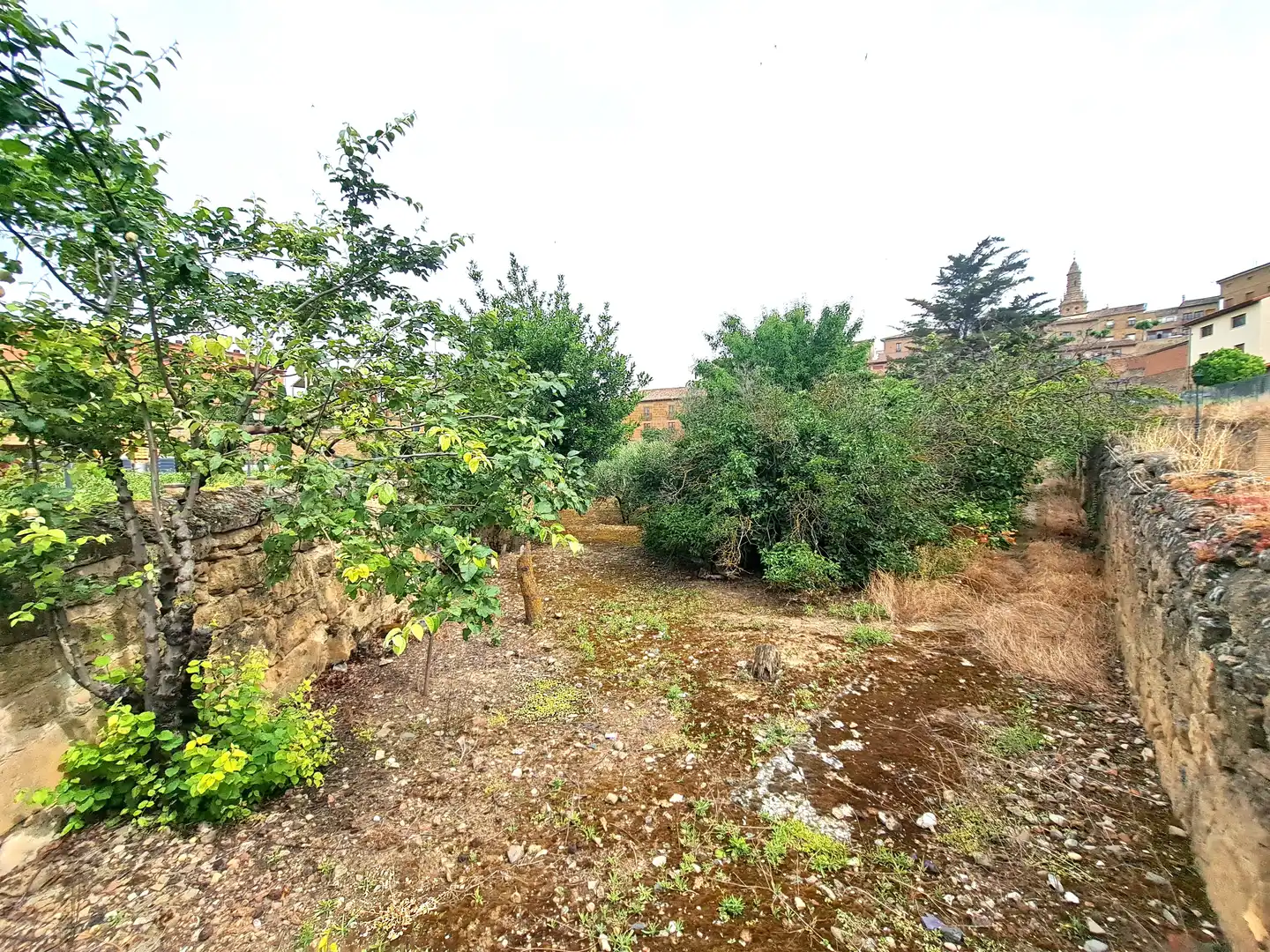 Finca rústica en venta en Briones con Jardín privado