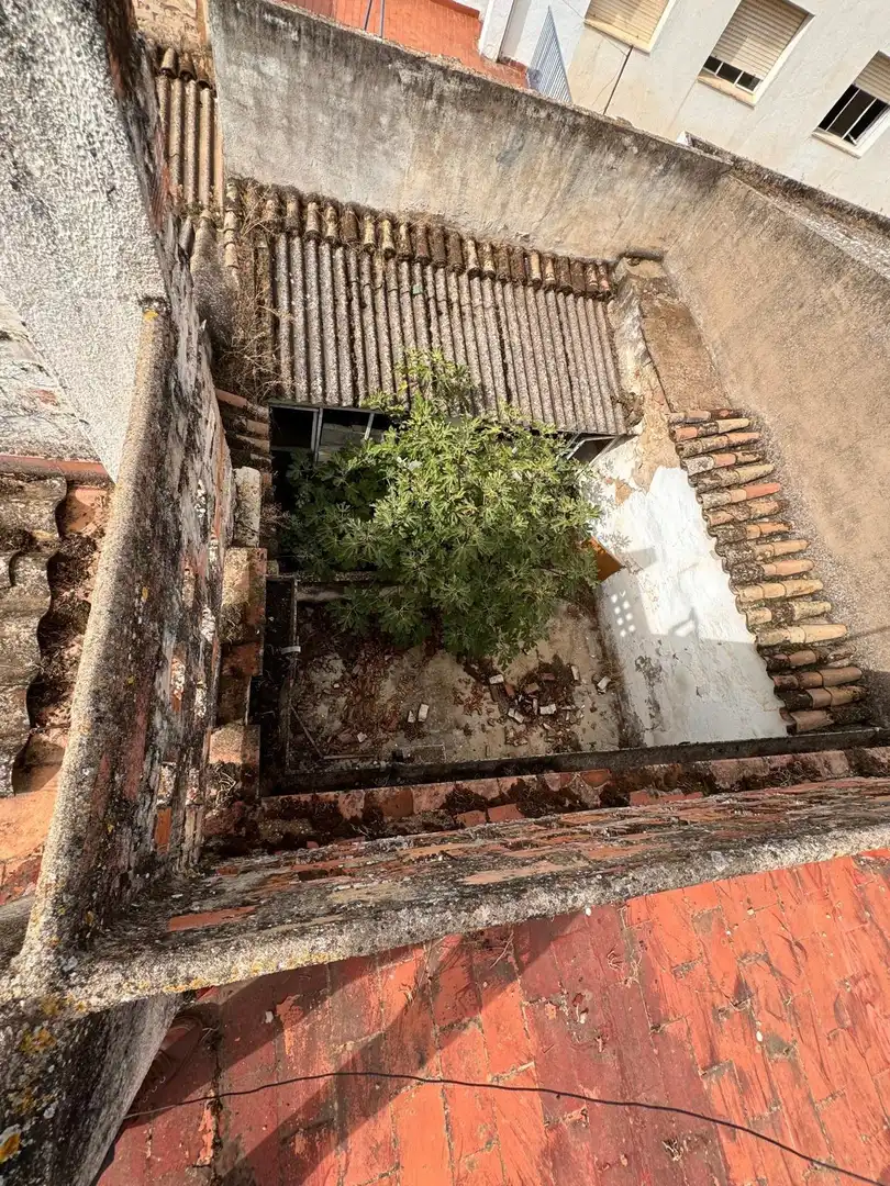 Garden of Houses for sale in Villa del Río  with Private garden, Terrace and Storage room