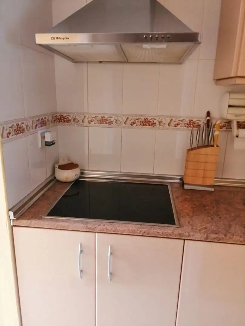 Apartments for rent in Av. de Algeciras, 3, San García