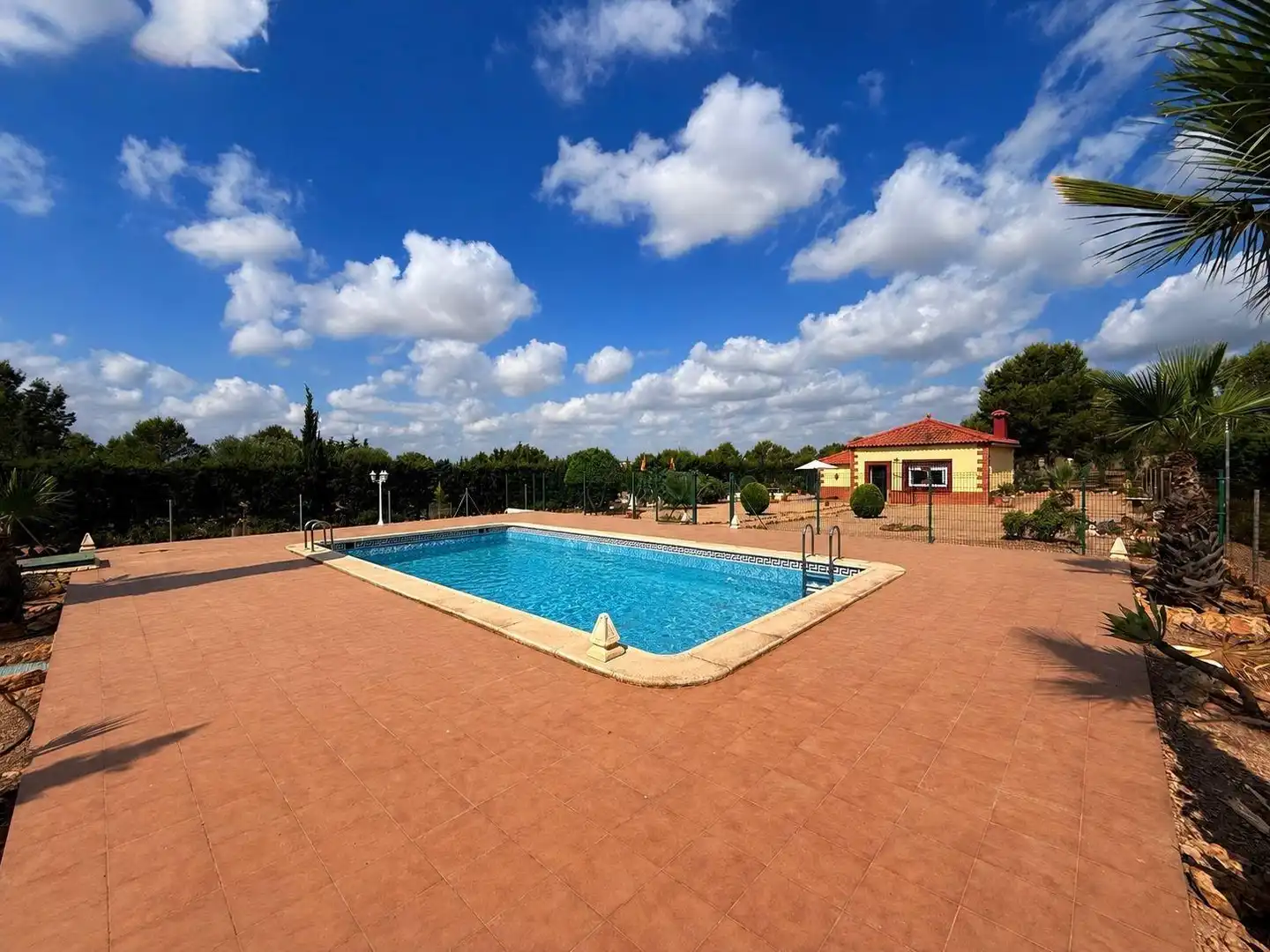 Piscina de Finca rústica en venda en Murcia amb Piscina
