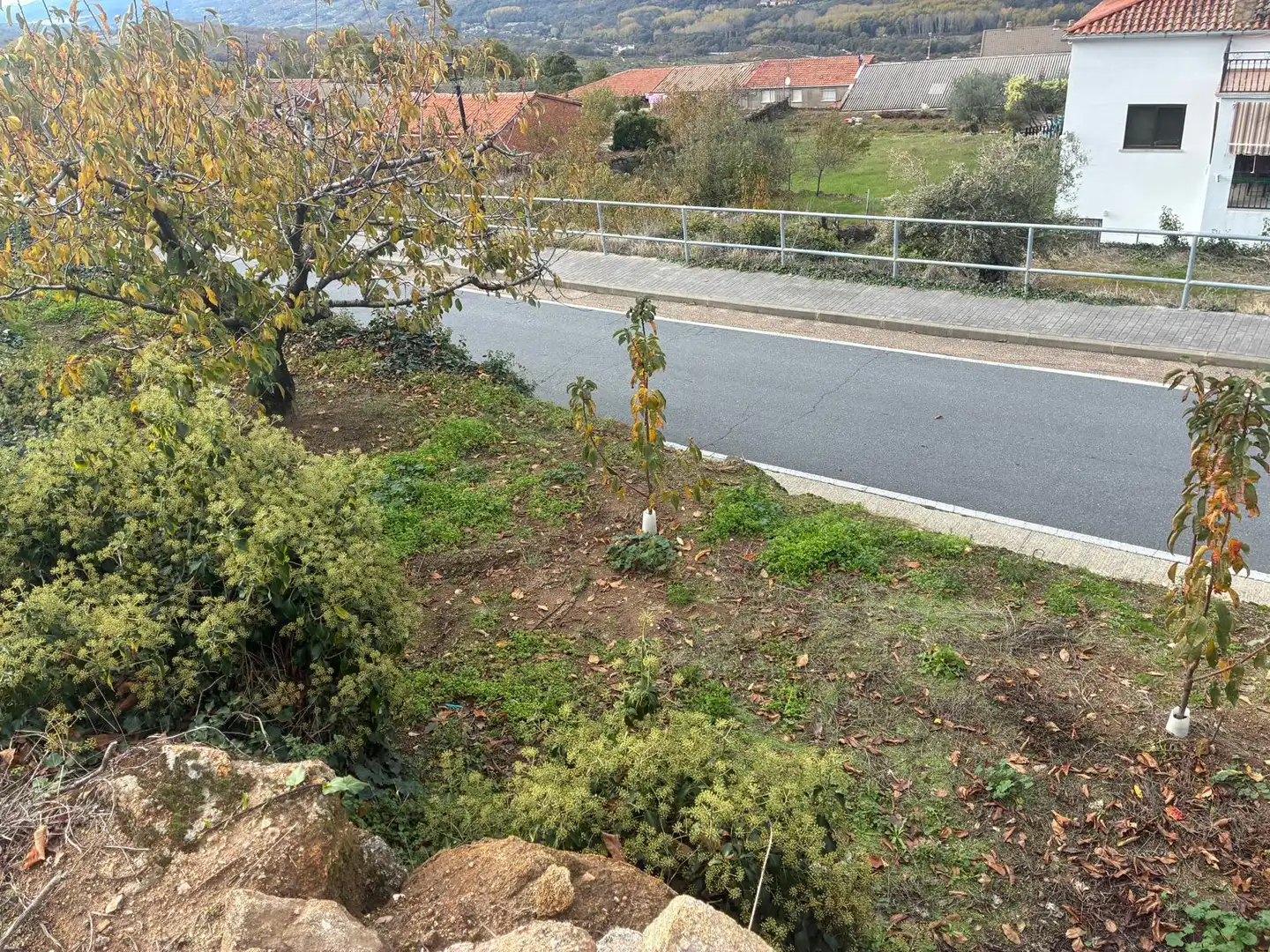 Residential land for sale in Paseo Naranjos 118, imagen 4