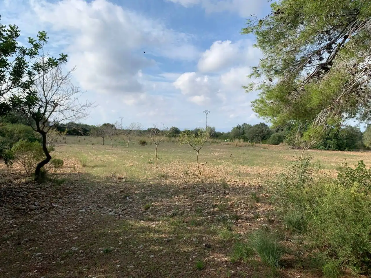 Rural land for sale in Calle POLIGONO 43, PARCELAS 350, 353,559, imagen 5