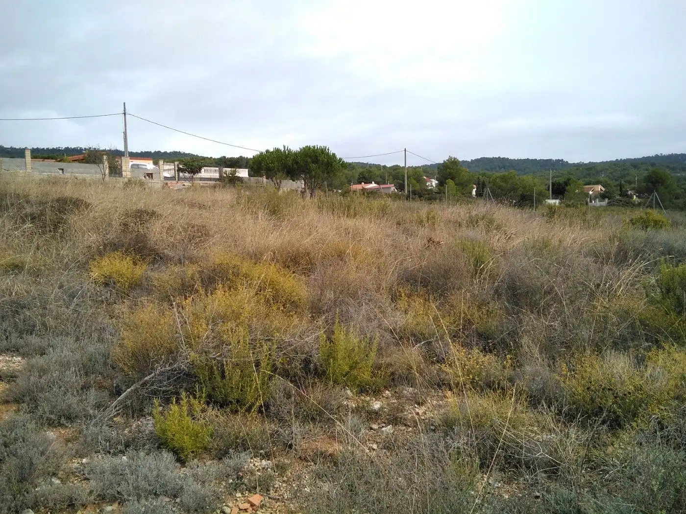 Terreno residenziale in vendita a Querol, imagen 10