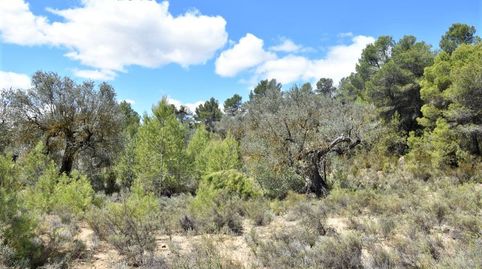 Foto 3 de Terreny en venda a Arens de Lledó, Teruel