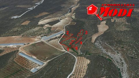 CINCO FINCAS POR EL PRECIO DE UNA , es algo bueno  no te los crees ? Llámame. Te ofrecemos 8.148 m2 en total y por separado  tiene, imatge 5