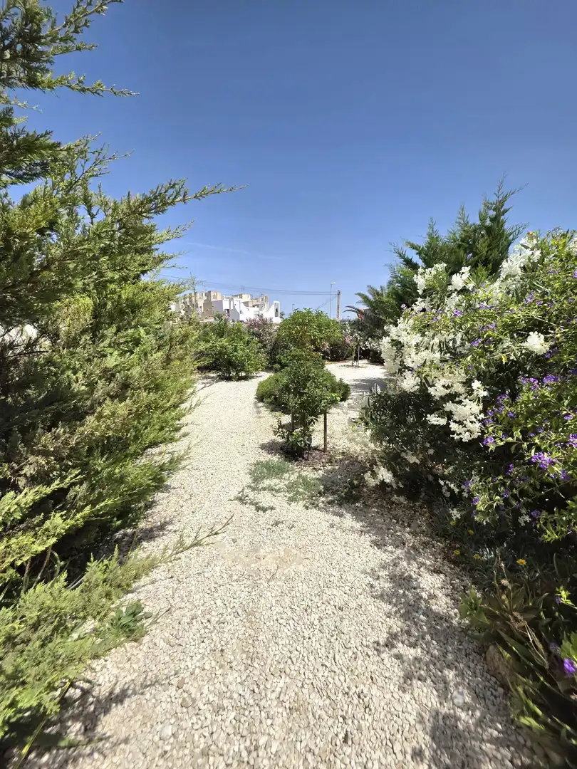 Jardí de Casa o xalet en venda en Torrevieja amb Aire condicionat, Jardí privat i Terrassa
