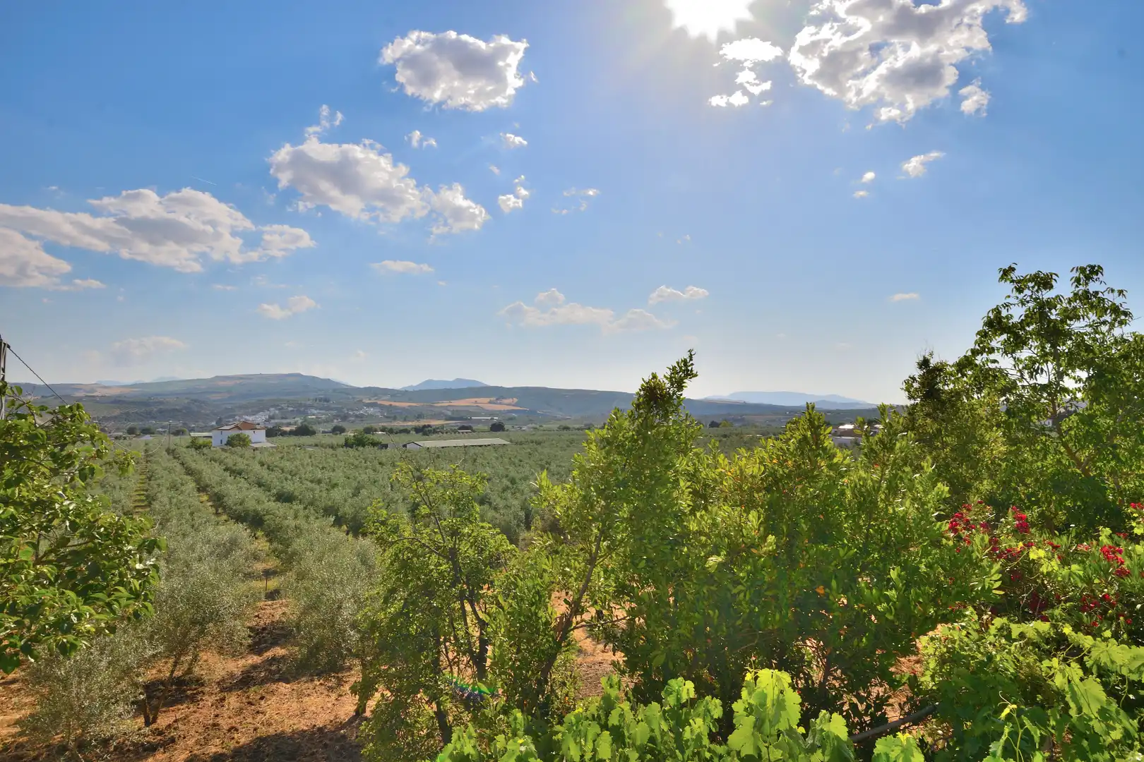 Finca rústica en venta en Setenil de las Bodegas con Jardín privado, Terraza y Trastero